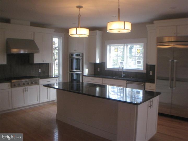 243 Stacey Road Penn Valley, PA 19072 - Photo 3 of 22 Kitchen