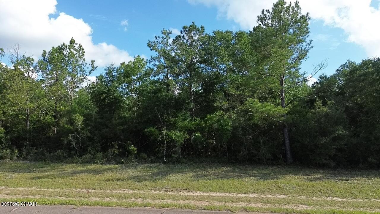 Lot 15 Firetower Road, Unit 11 Chipley, FL 32428 - Photo 4 of 8