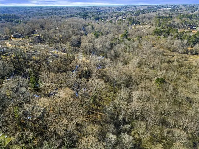 a close up of a tree