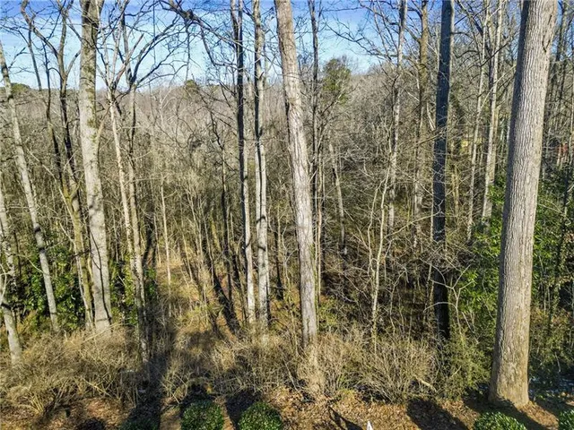 a view of a yard with a tree