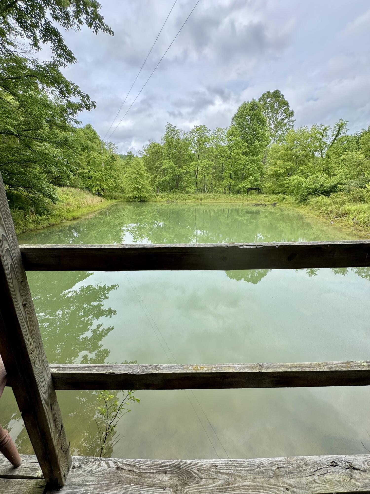 88 Mae Gumm Road Tyner, KY 40486 - Photo 33 of 37 IMG_9239