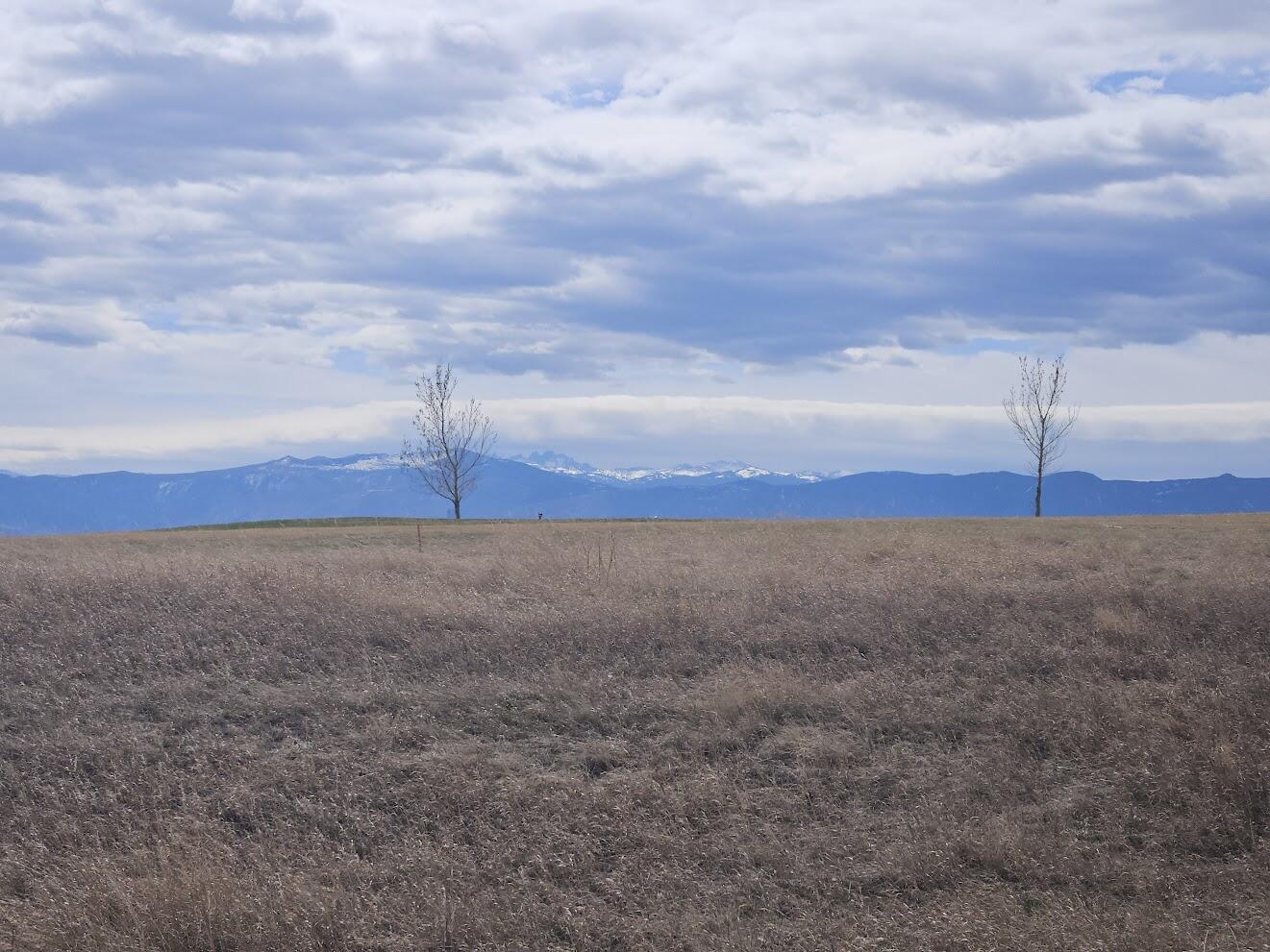2240 Excalibur Way, Unit HB31) Sheridan, WY 82801 - Photo 29 of 31 20260324_134142