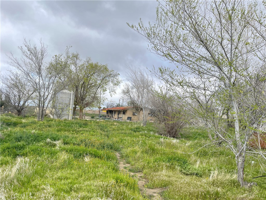 15981 Gaskell Road Rosamond, CA 93560 - Photo 16 of 16