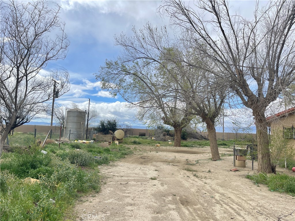 15981 Gaskell Road Rosamond, CA 93560 - Photo 2 of 16