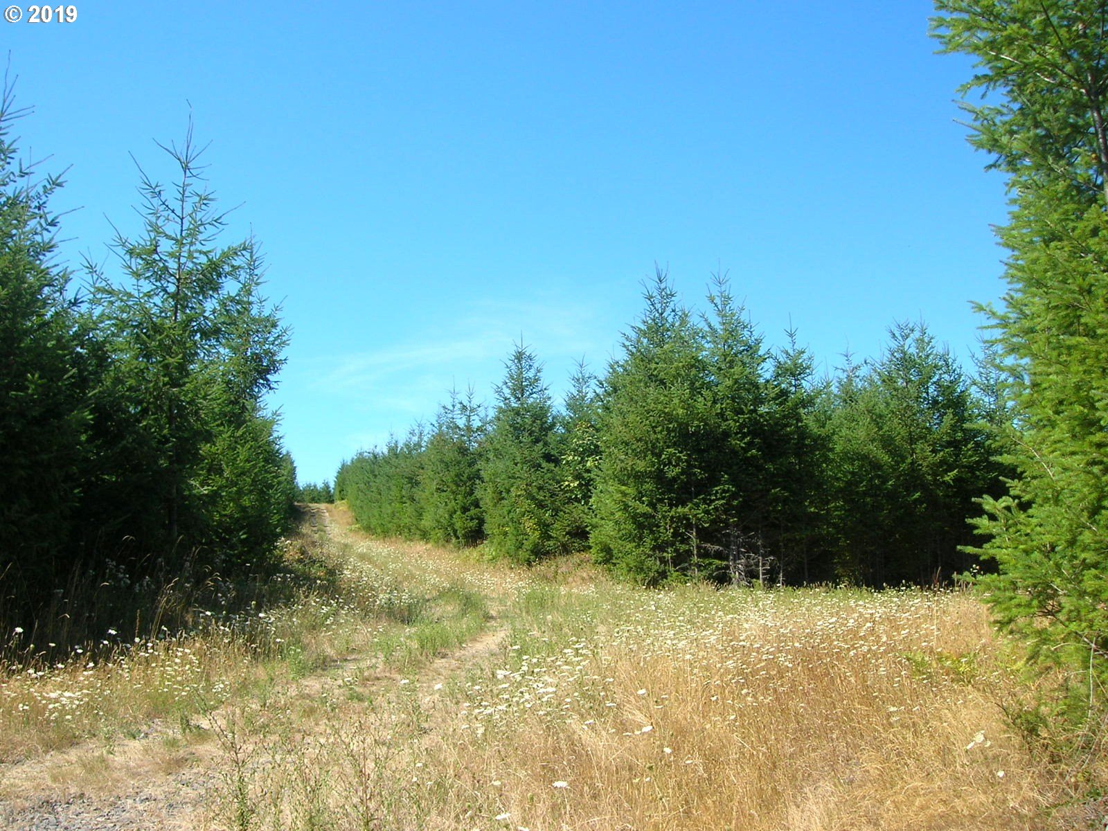 Chapman Grange Road, Unit 2 Scappoose, OR 97056 - Photo 1 of 8 Gallery Image 1