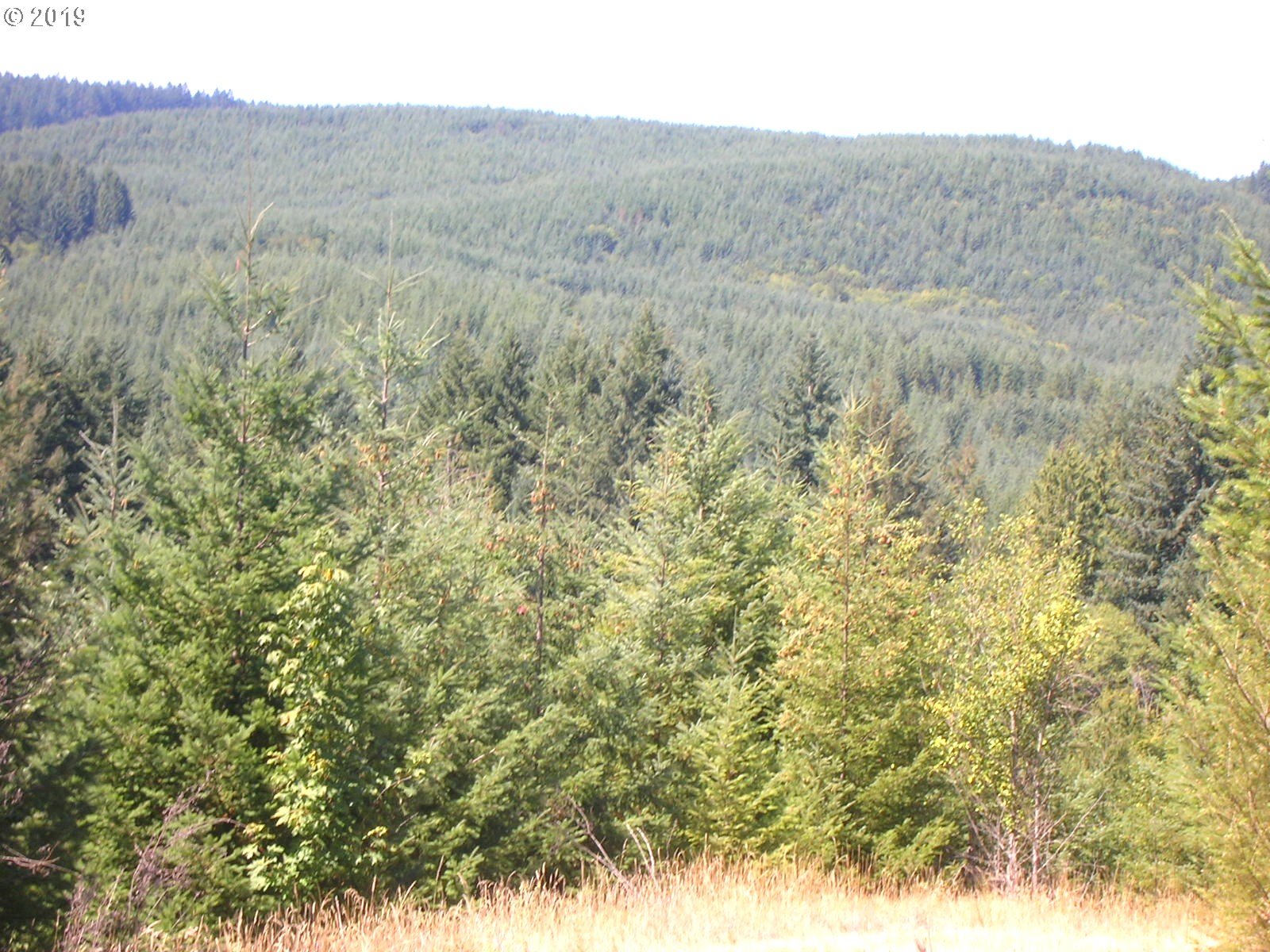 Chapman Grange Road, Unit 2 Scappoose, OR 97056 - Photo 3 of 8 Gallery Image 3
