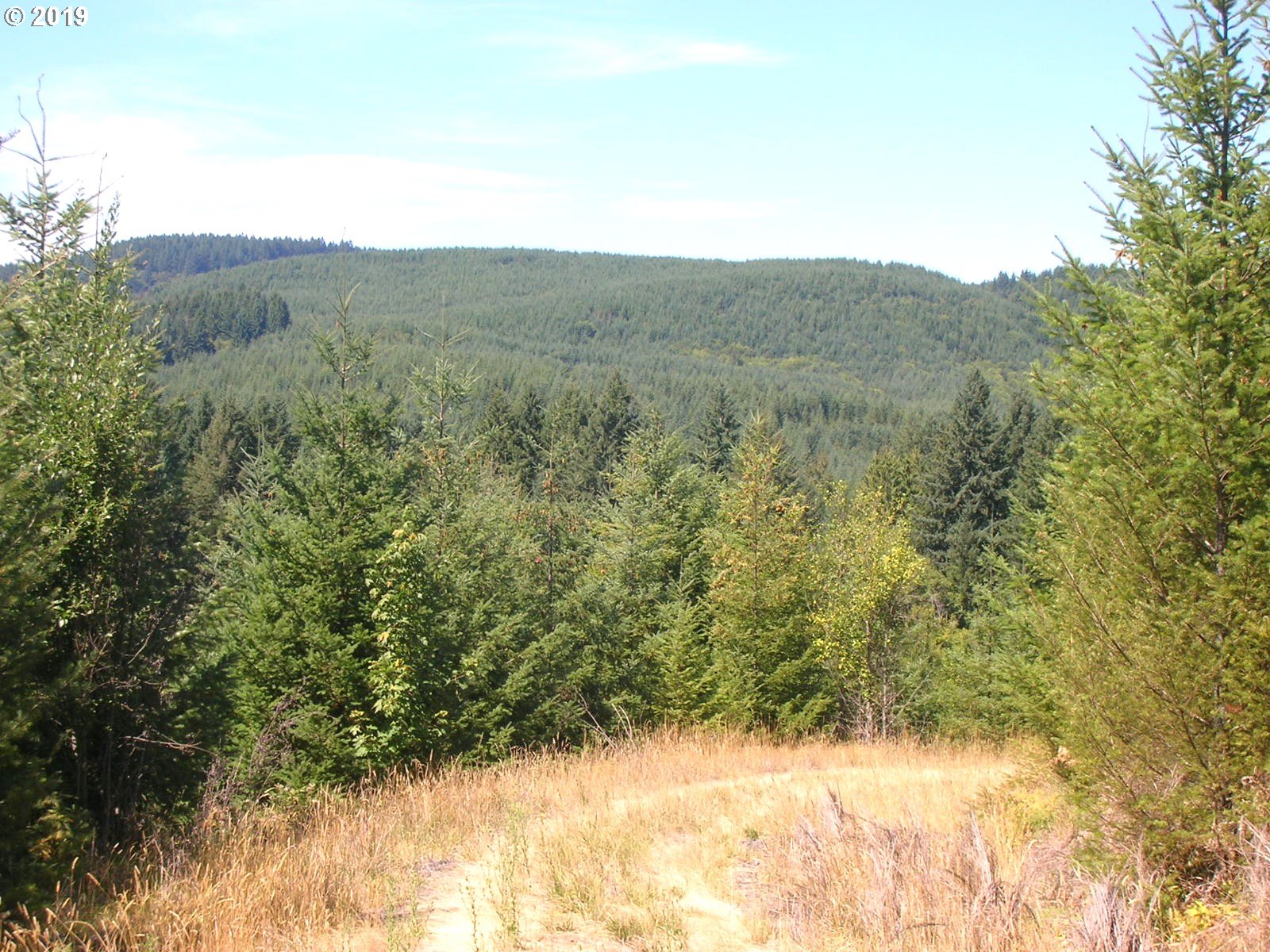 Chapman Grange Road, Unit 2 Scappoose, OR 97056 - Photo 4 of 8 Gallery Image 4