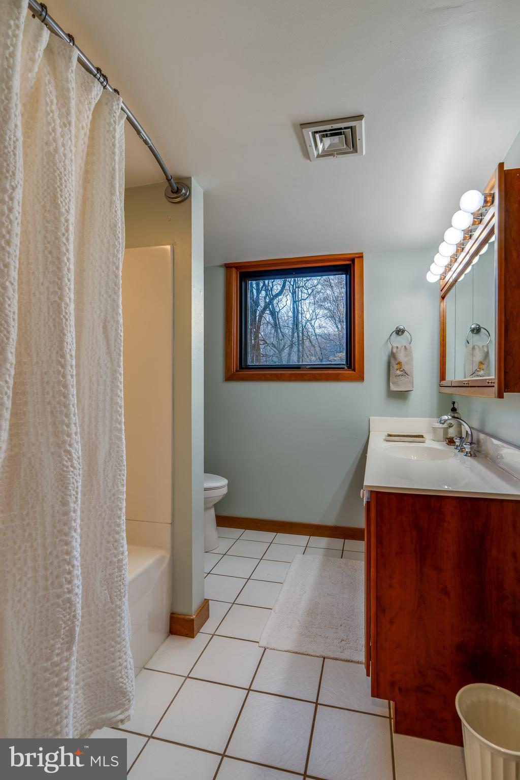 181 Old Mine Road Lebanon, PA 17042 - Photo 51 of 79 Bath 2