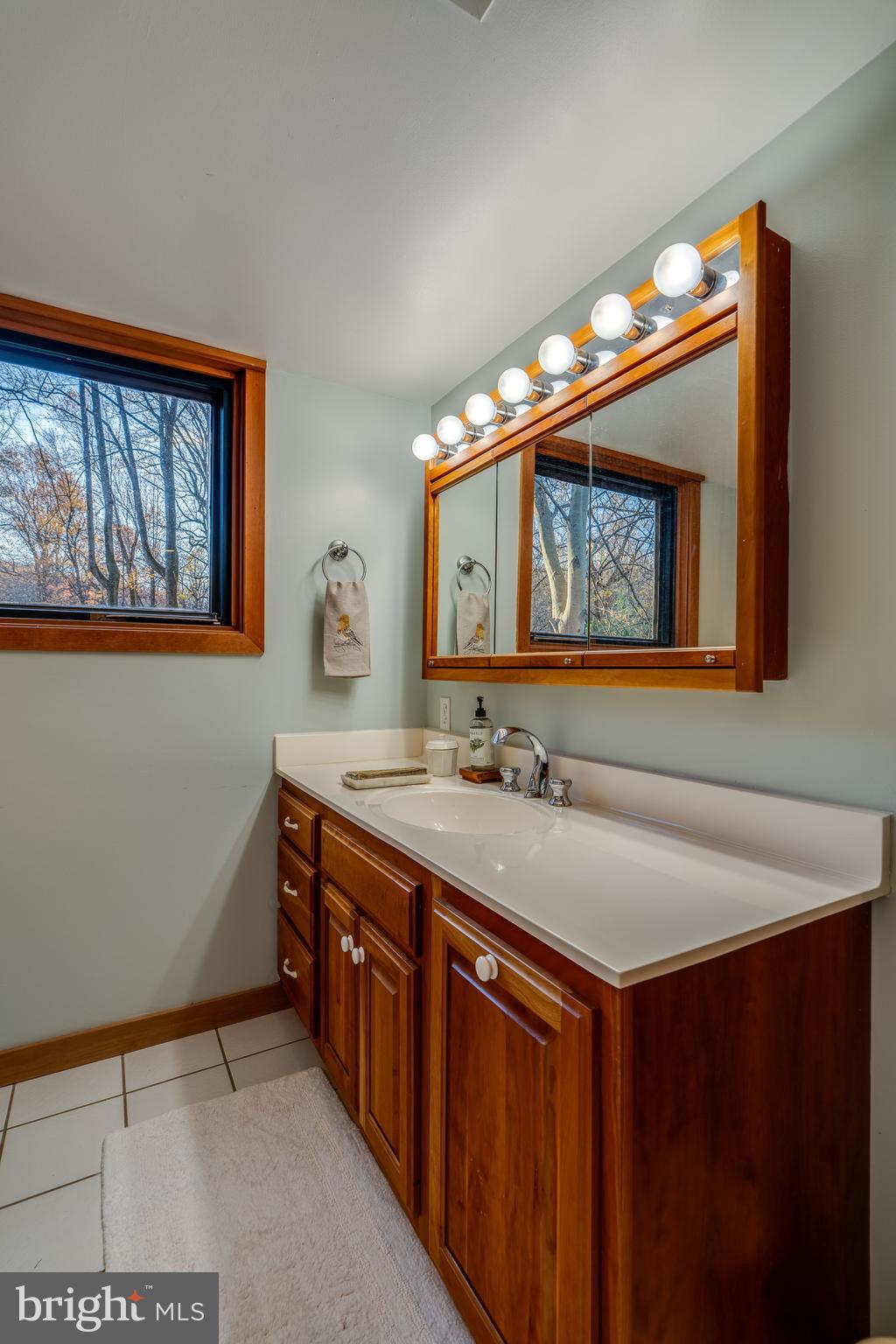 181 Old Mine Road Lebanon, PA 17042 - Photo 52 of 79 a bathroom with a sink and a mirror