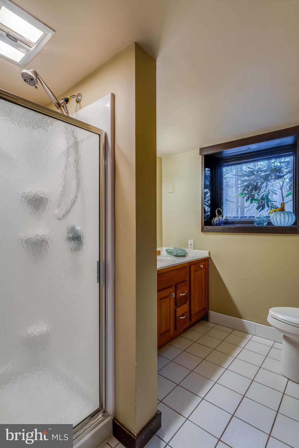 181 Old Mine Road Lebanon, PA 17042 - Photo 56 of 79 a bathroom with a granite countertop sink a toilet and shower