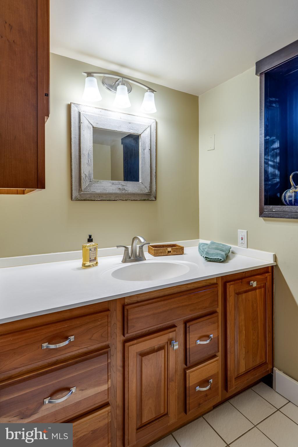181 Old Mine Road Lebanon, PA 17042 - Photo 57 of 79 a bathroom with a sink and a mirror
