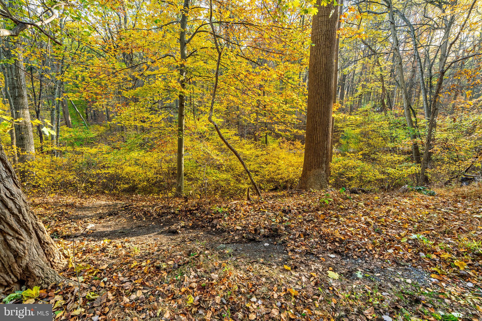 181 Old Mine Road Lebanon, PA 17042 - Photo 71 of 79 Path to Rail Trail