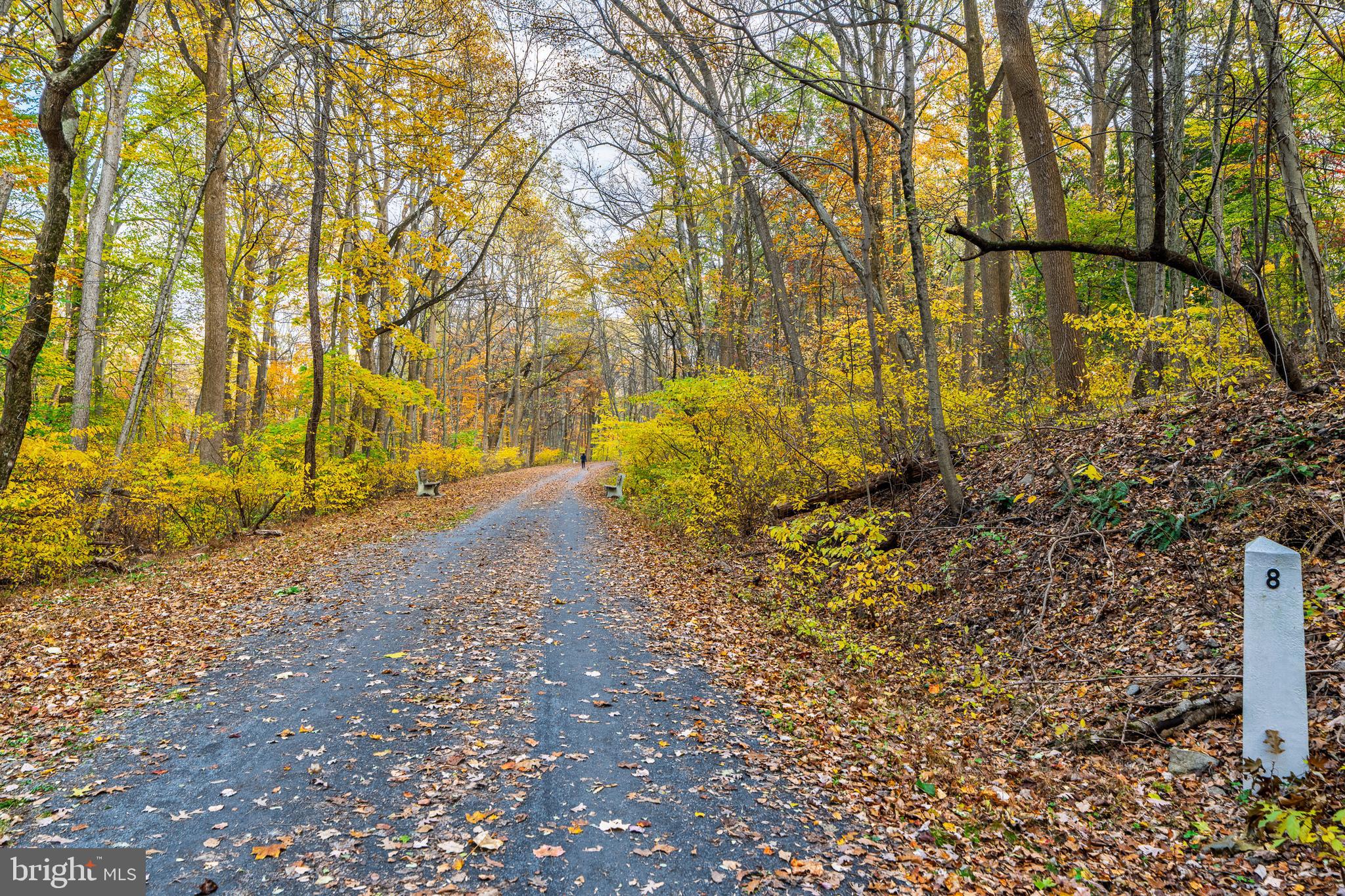 181 Old Mine Road Lebanon, PA 17042 - Photo 73 of 79 a view of backyard with large trees