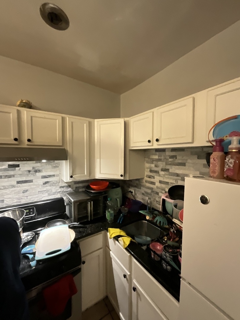4226 West Ogden Avenue Chicago, IL 60623 - Photo 20 of 20 a kitchen with a stove a sink and a microwave
