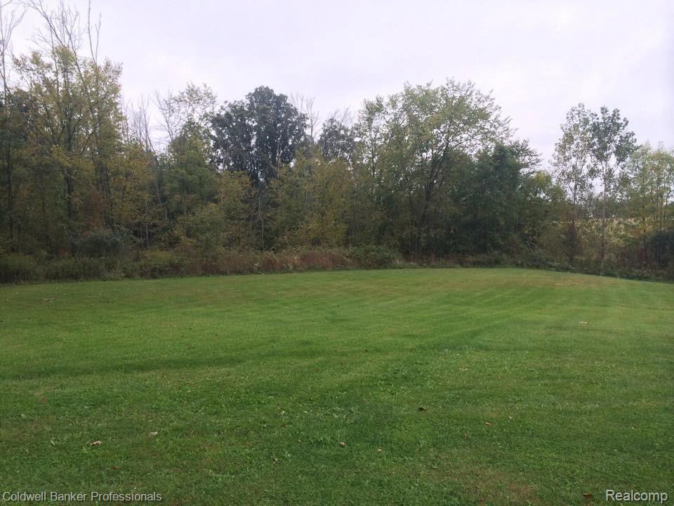 5945 Summers Road North Branch, MI 48461 - Photo 25 of 26 12106789_10153206901923693_8961213496775148873_n.jpg