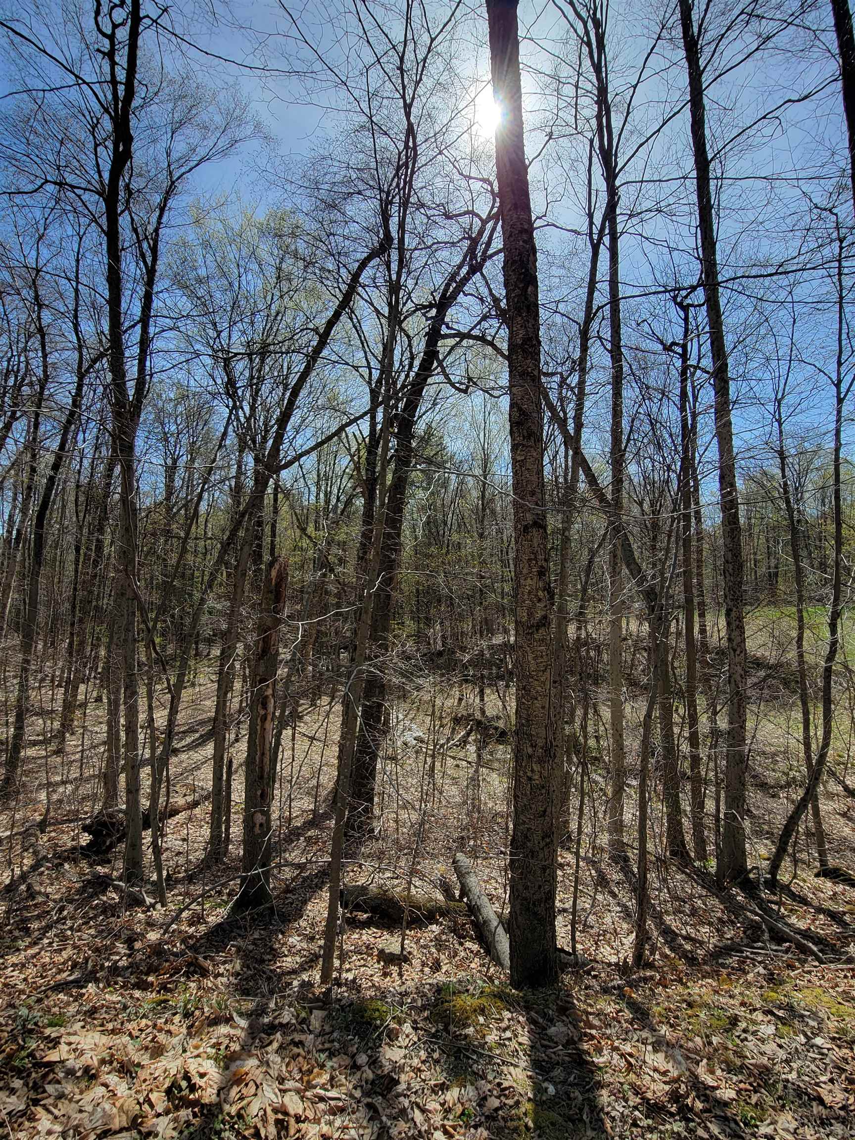 0 Mt Anthony Road North Pownal, VT 05260 - Photo 4 of 10