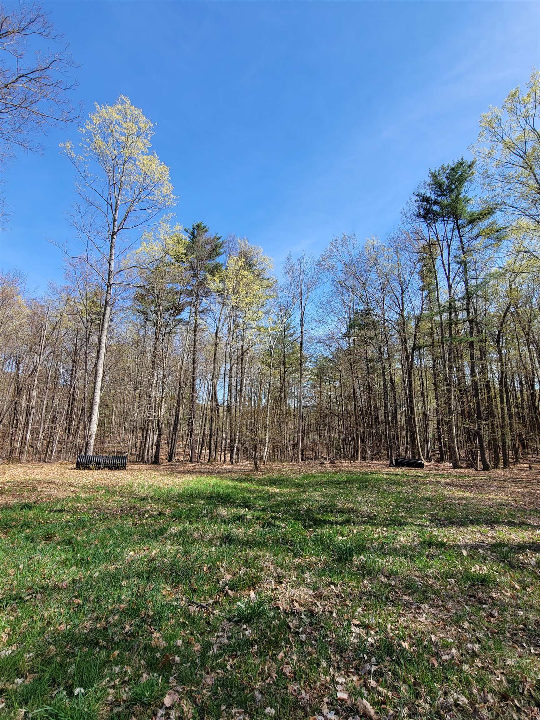 0 Mt Anthony Road North Pownal, VT 05260 - Photo 6 of 10