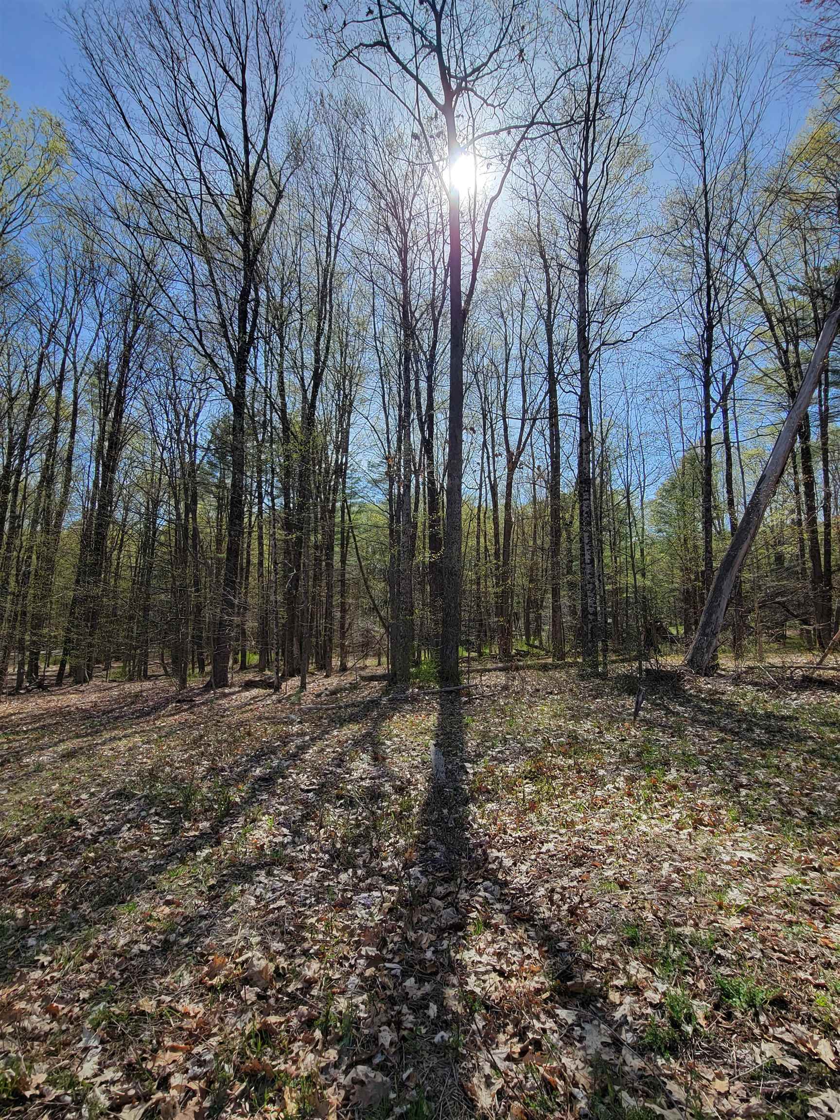 0 Mt Anthony Road North Pownal, VT 05260 - Photo 8 of 10