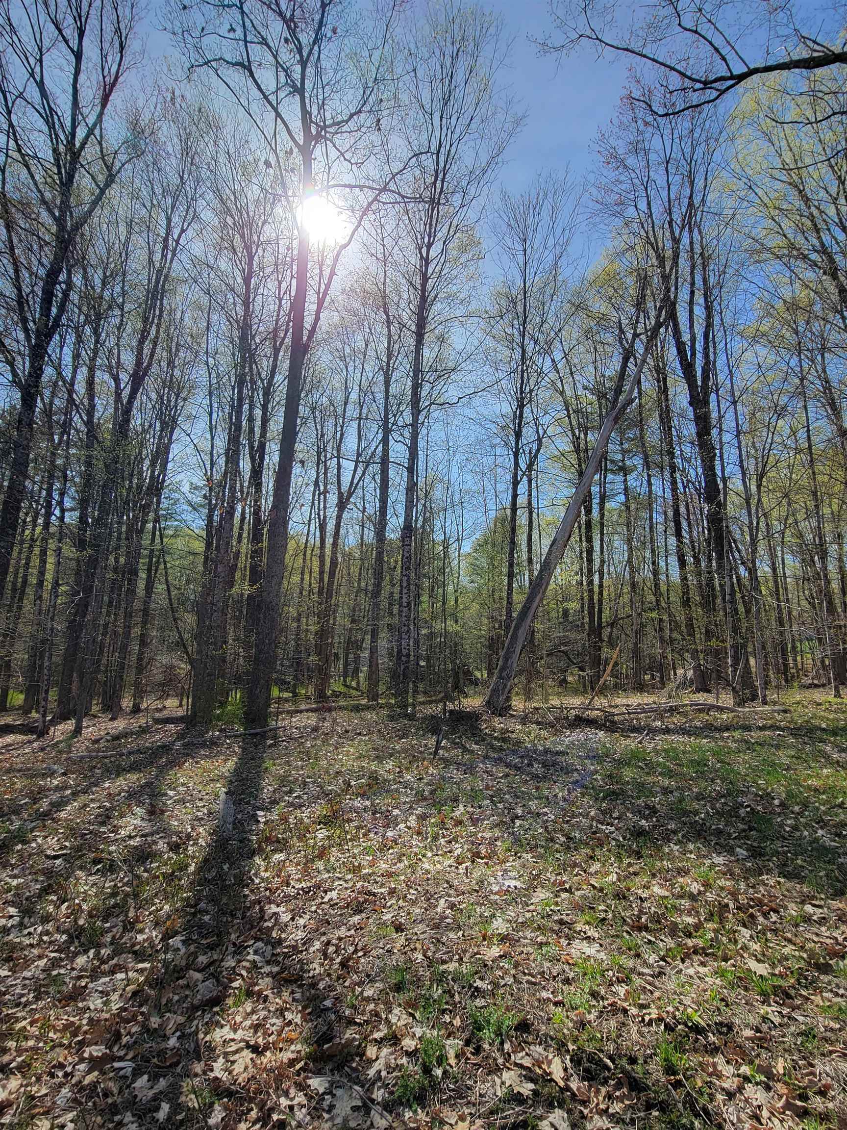 0 Mt Anthony Road North Pownal, VT 05260 - Photo 9 of 10