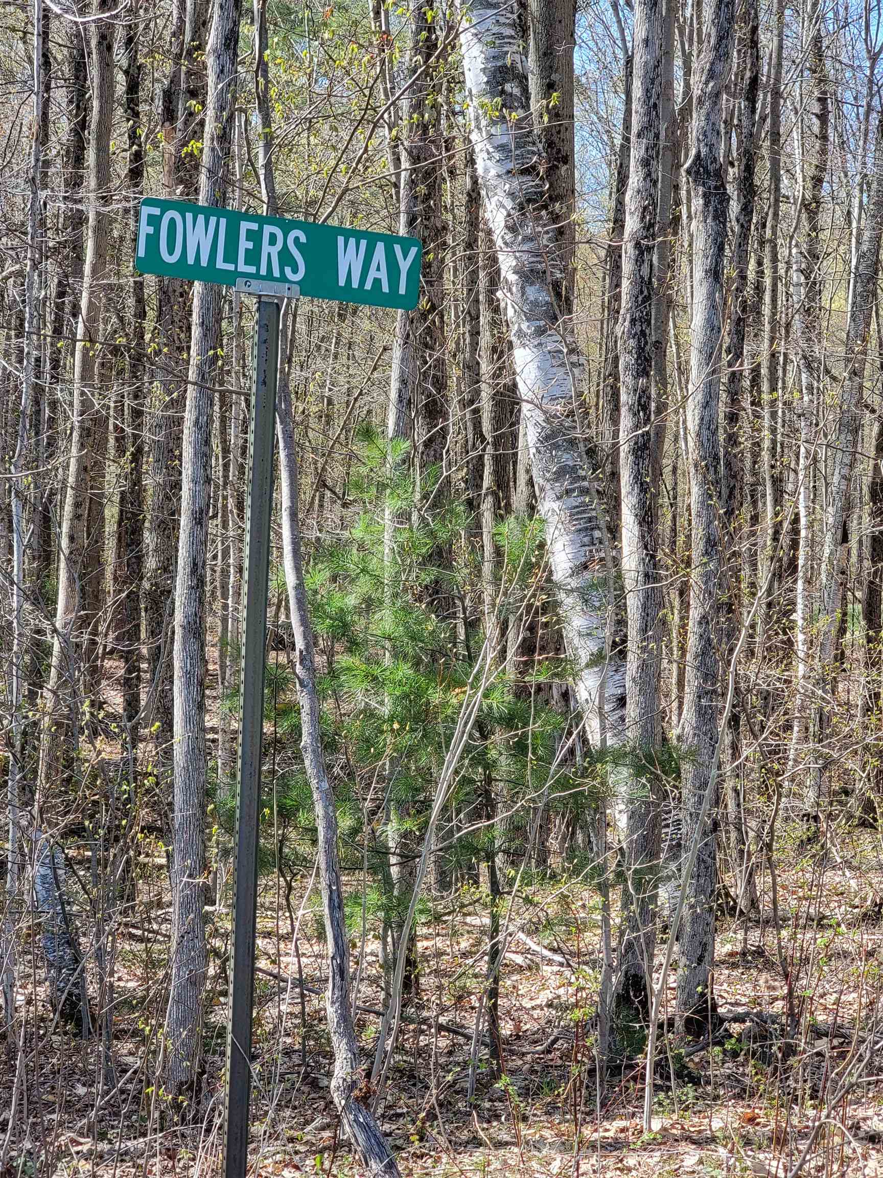 0 Mt Anthony Road North Pownal, VT 05260 - Photo 10 of 10