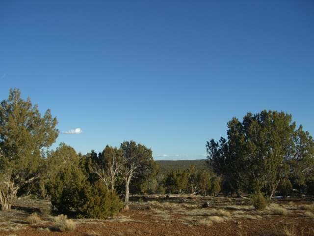 3 L Pulp Mill Road Clay Springs, AZ 85923 - Photo 1 of 4