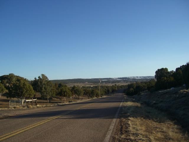 3 L Pulp Mill Road Clay Springs, AZ 85923 - Photo 2 of 4