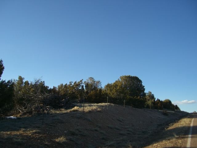 3 L Pulp Mill Road Clay Springs, AZ 85923 - Photo 3 of 4