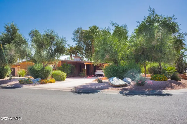 a view of a roadside with trees in the background
