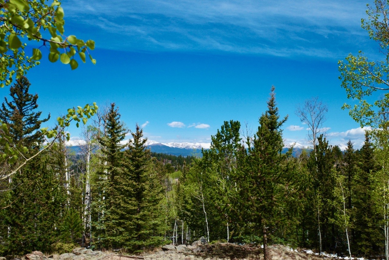 312 Bowstring Road Como, CO 80456 - Photo 42 of 43