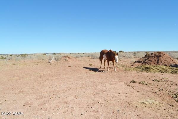 4915 Jack Rabbit Road Snowflake, AZ 85937 - Photo 41 of 56