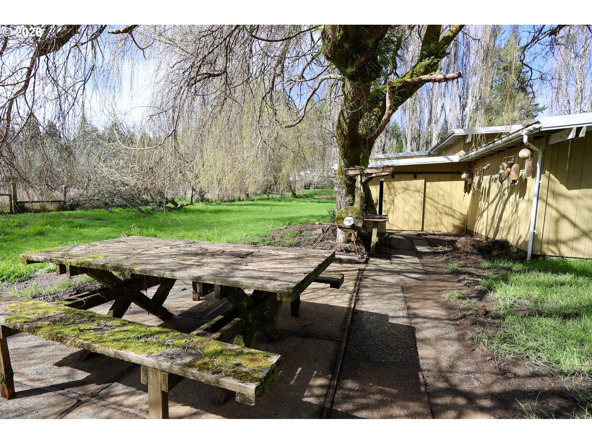 93514 Upper Loop Lane Coos Bay, OR 97420 - Photo 5 of 39