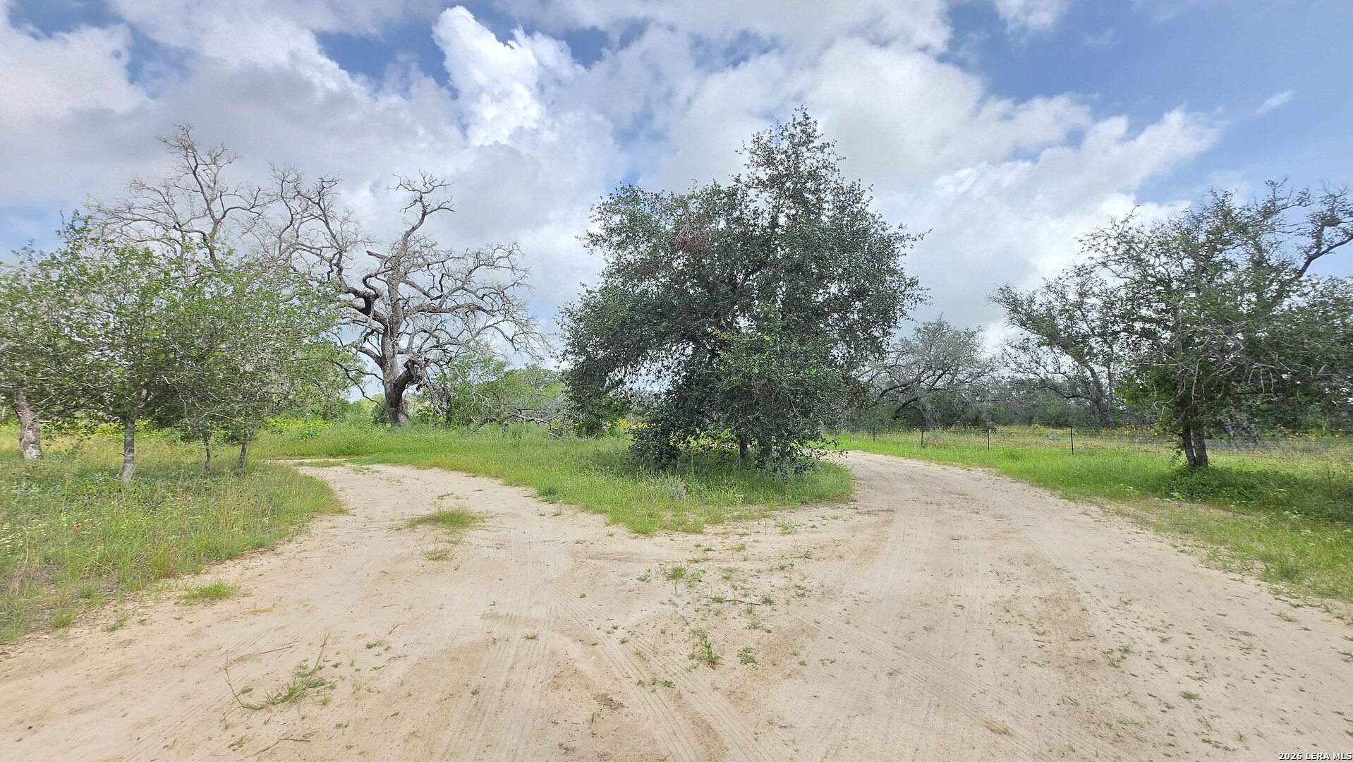 289 Zigmond Road Poteet, TX 78065 - Photo 9 of 37