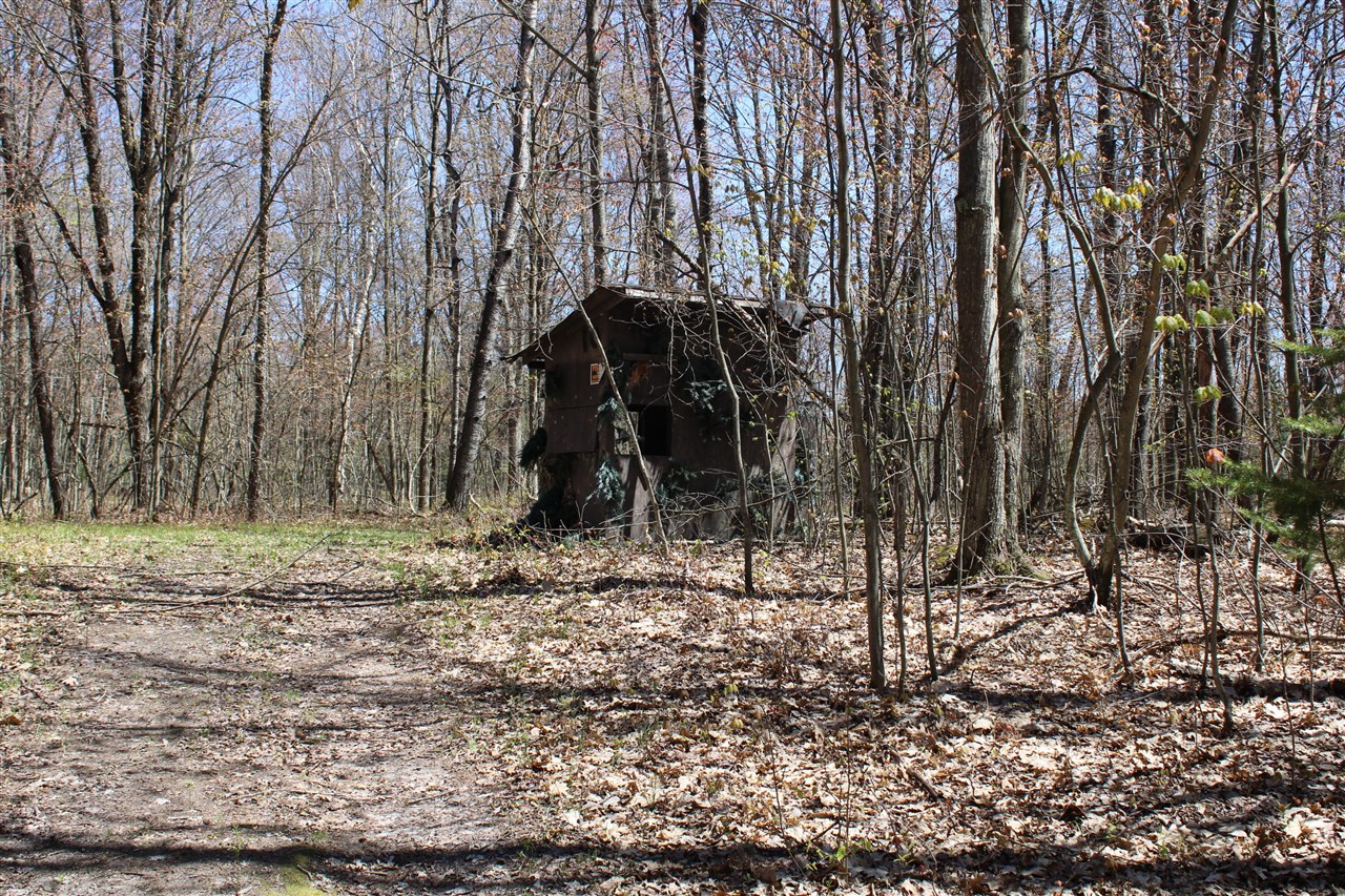 11401 Little George Lake Road Gladwin, MI 48624 - Photo 52 of 72