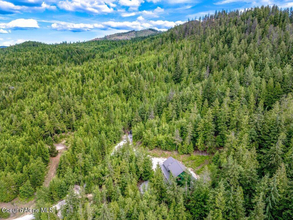 149 Idyllwild Road Sagle, ID 83860 - Photo 30 of 39 --50.jpg-SMALL