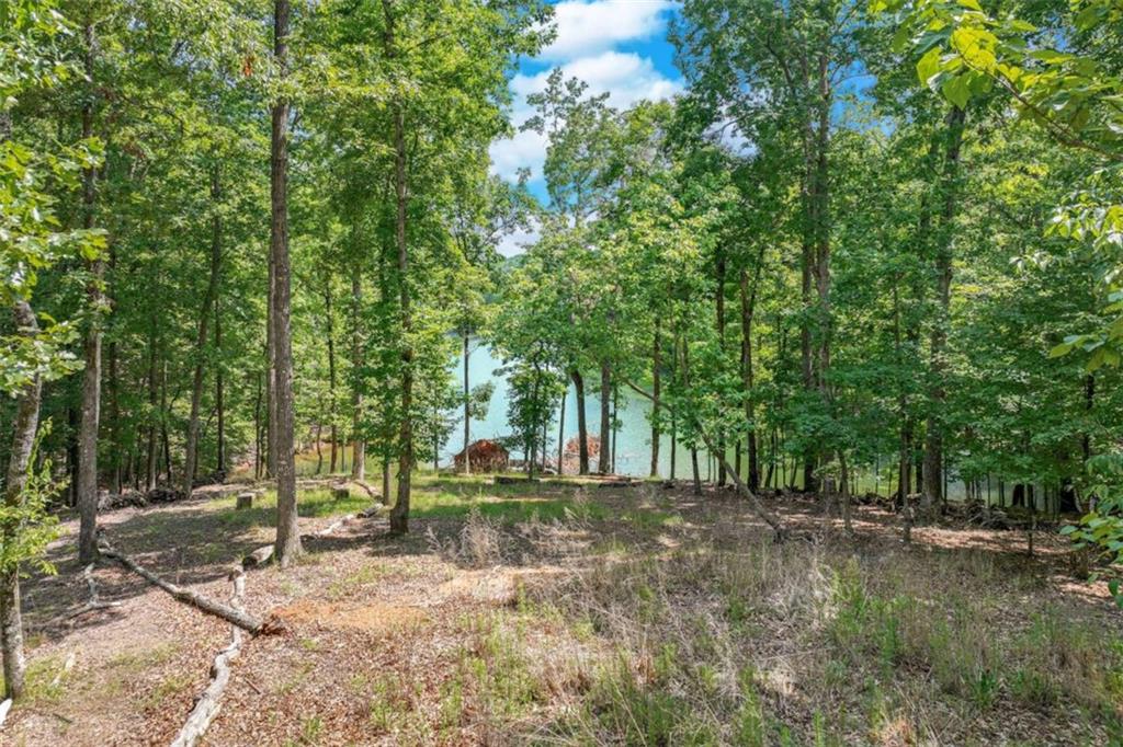 6226 Random Winds Bluff Gainesville, GA 30506 - Photo 5 of 76 a backyard of a house with lots of green space