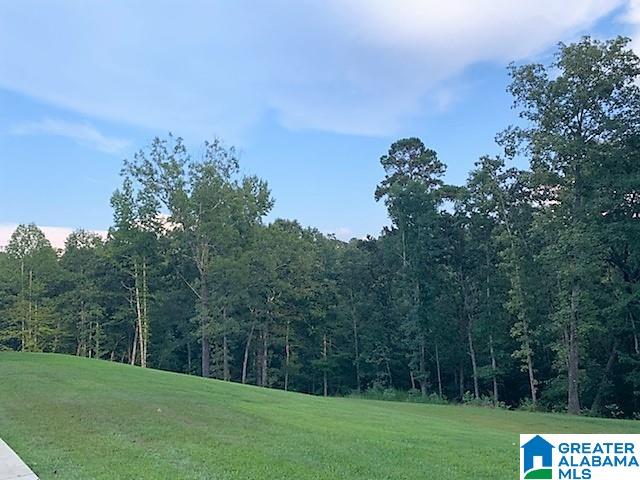 1281 Mohawk Cliff Road Ohatchee, AL 36271 - Photo 42 of 50