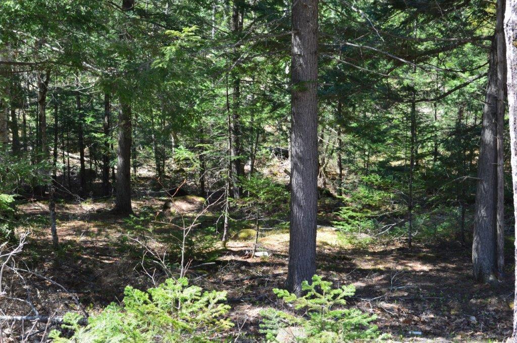 205 Academy Road Monmouth, ME 04259 - Photo 13 of 16 DSC_0045
