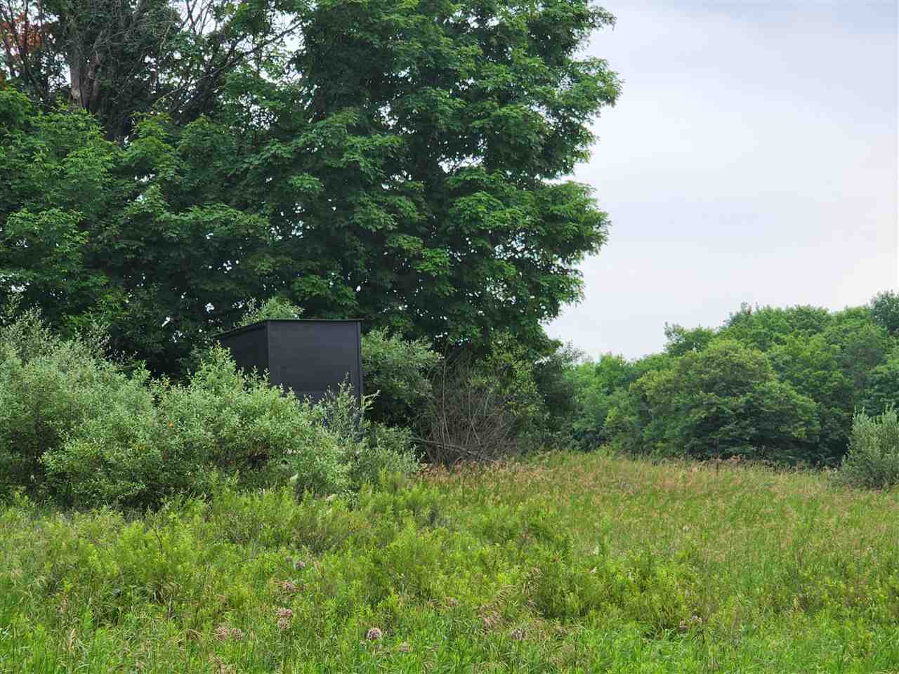 1 1 1 Mile Road White Cloud, MI 49349 - Photo 5 of 12