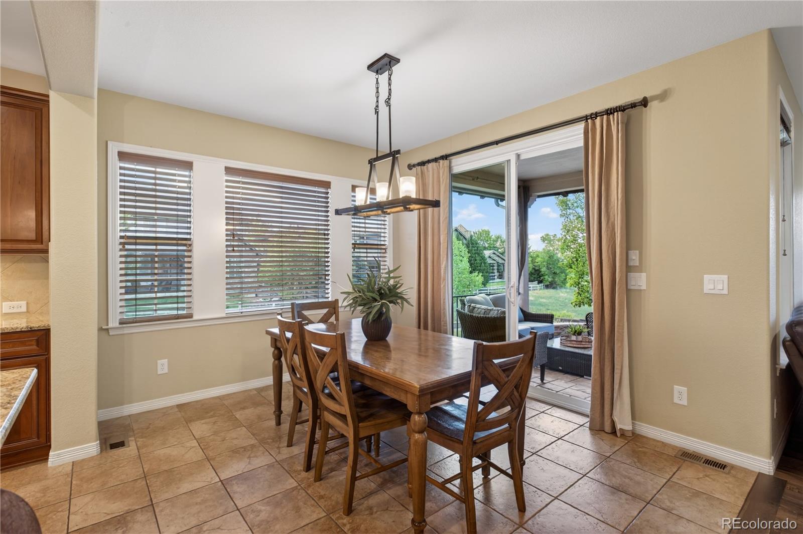 391 Maplehurst Drive Highlands Ranch, CO 80126 - Photo 21 of 50