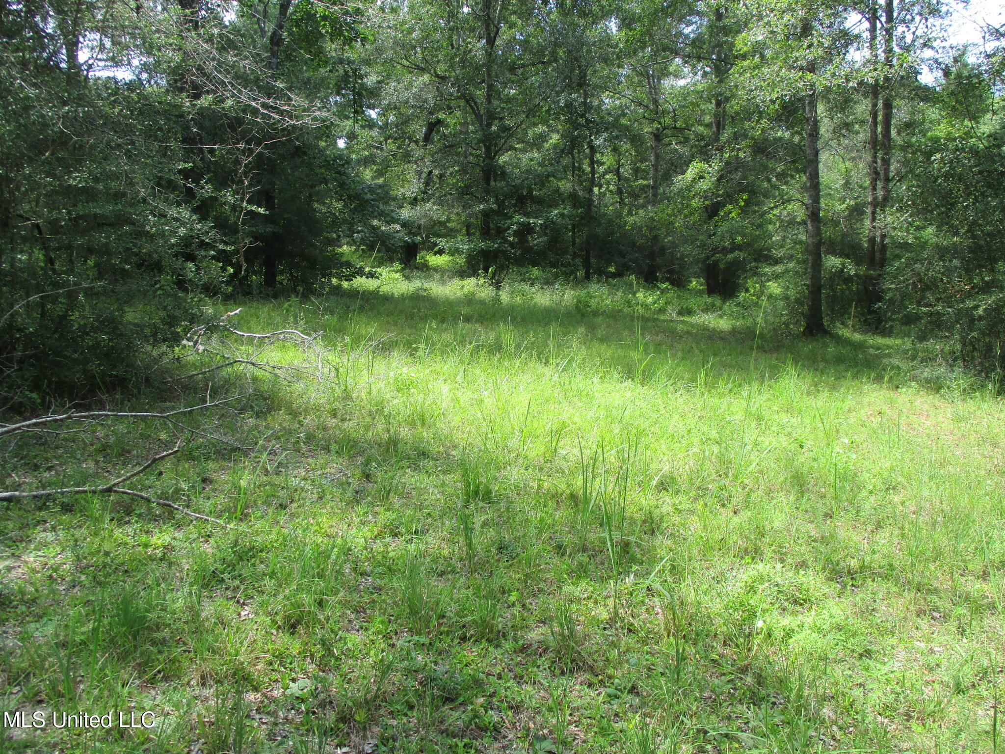 Park Place McComb, MS 39648 - Photo 2 of 4 IMG_4684