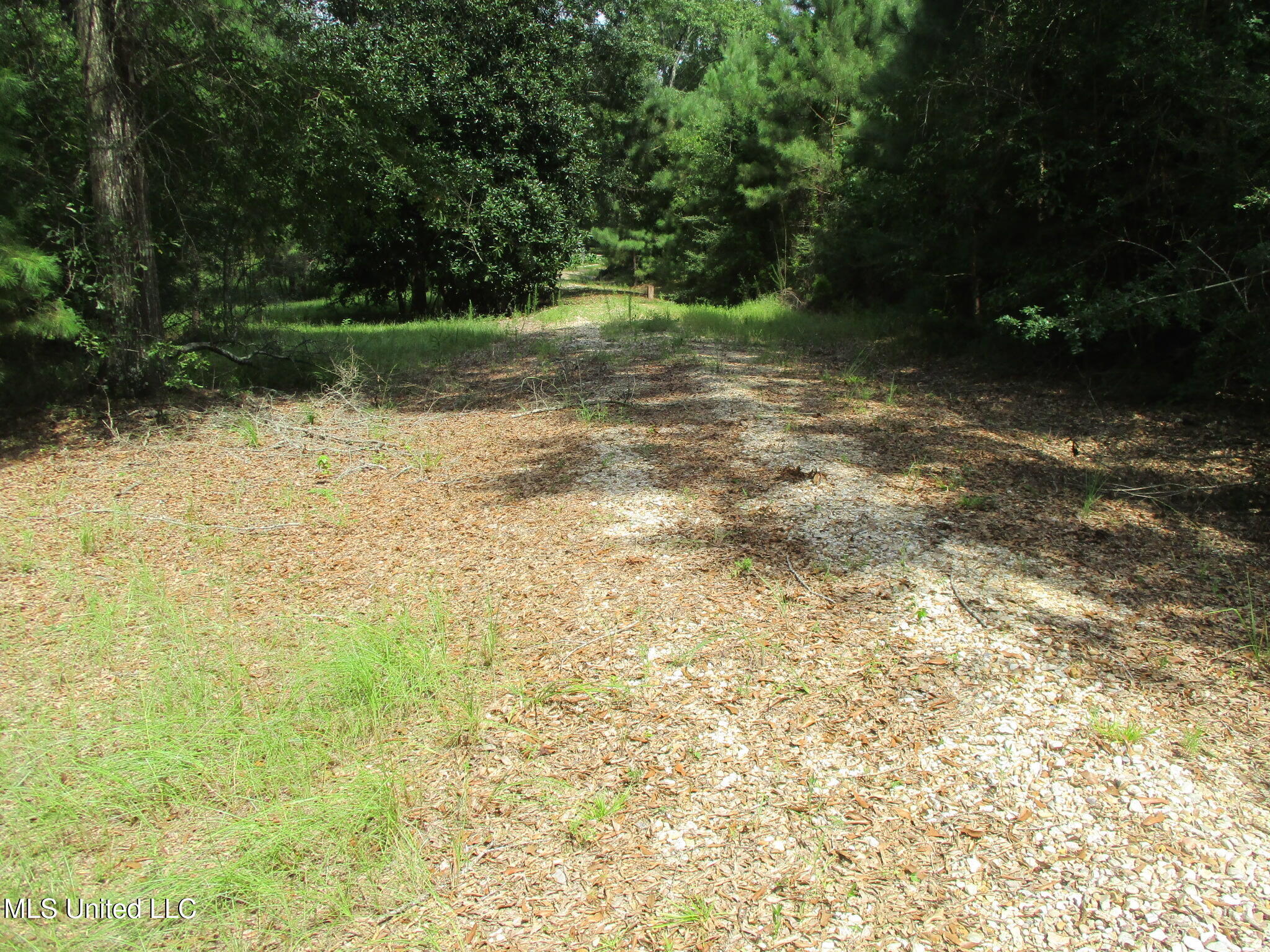 Park Place McComb, MS 39648 - Photo 3 of 4 IMG_4685