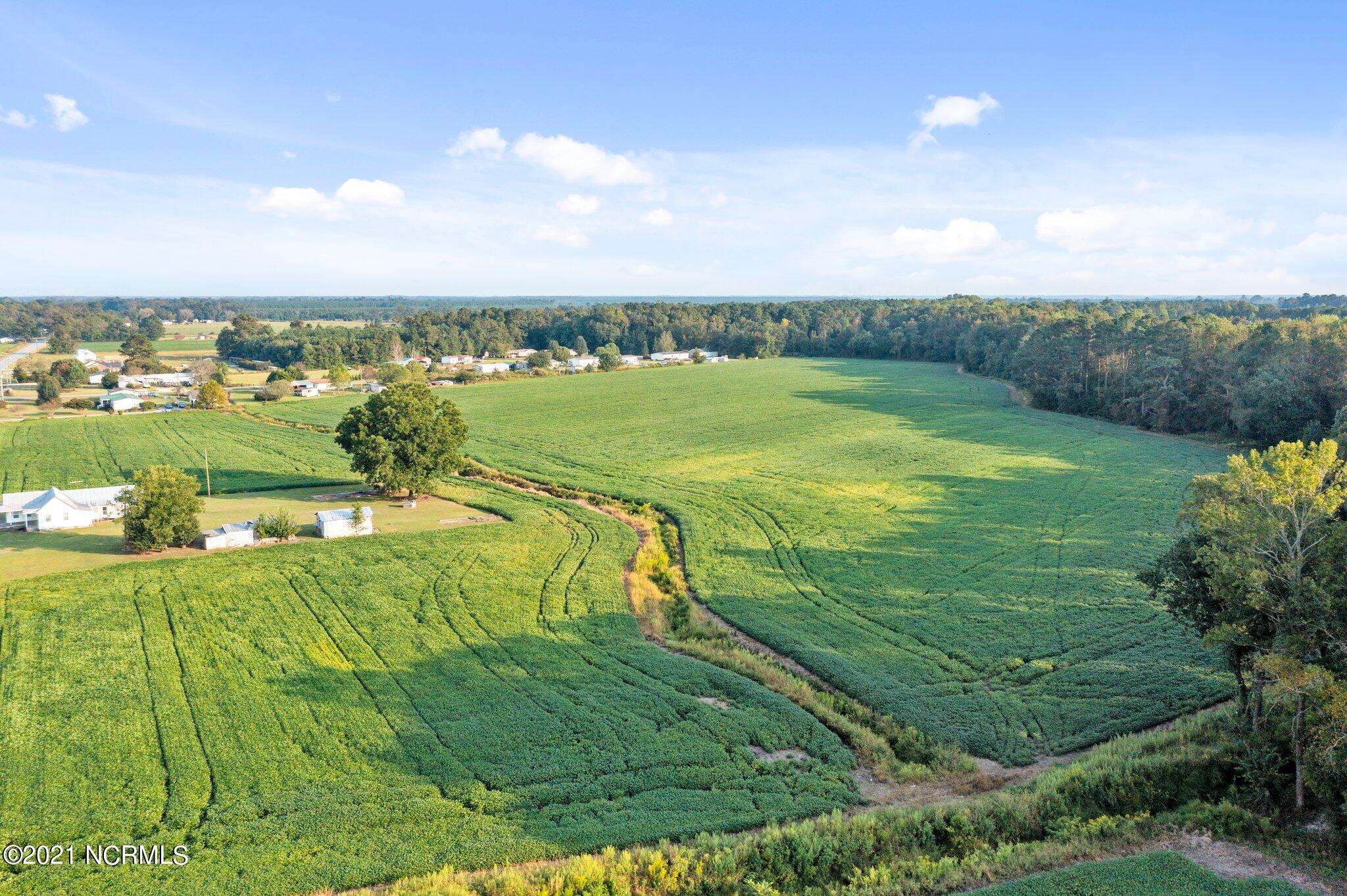 0 Dixon Grimesland, NC 27837 - Photo 8 of 13 large-34ac5c84-1054-49d7-8221-2cbfe501d6