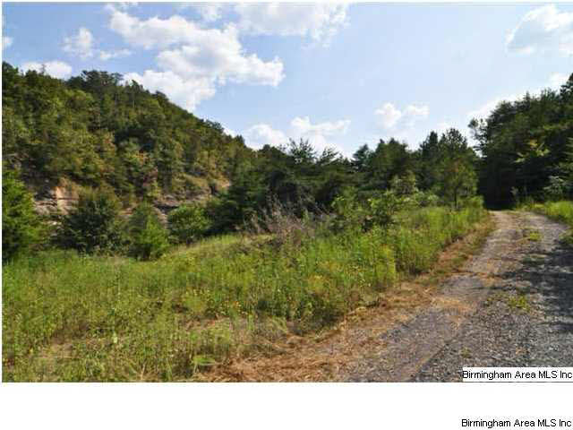 8442 Groundhog Road, Unit 225 AC Adger, AL 35006 - Photo 7 of 23