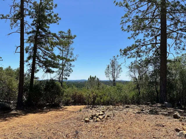 a view of a road with a tree in the background