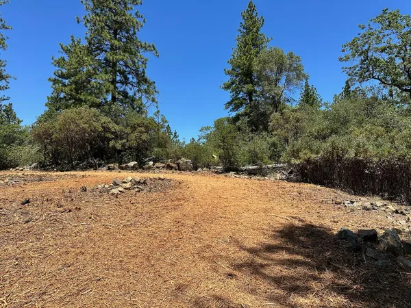 a view of empty yard