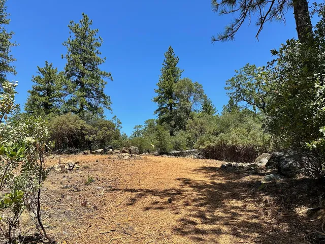 a view of a snow in a yard