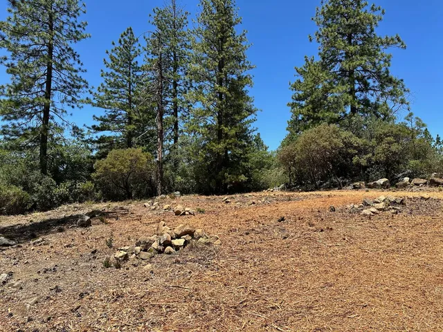 a view of a dry yard