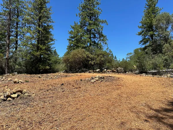 a view of snow on the beach