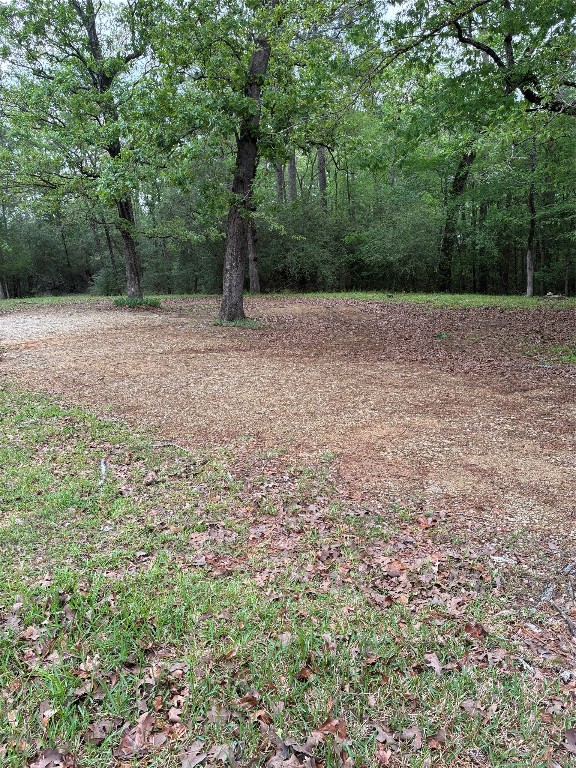 47 Jackson Road Huntsville, TX 77320 - Photo 3 of 11