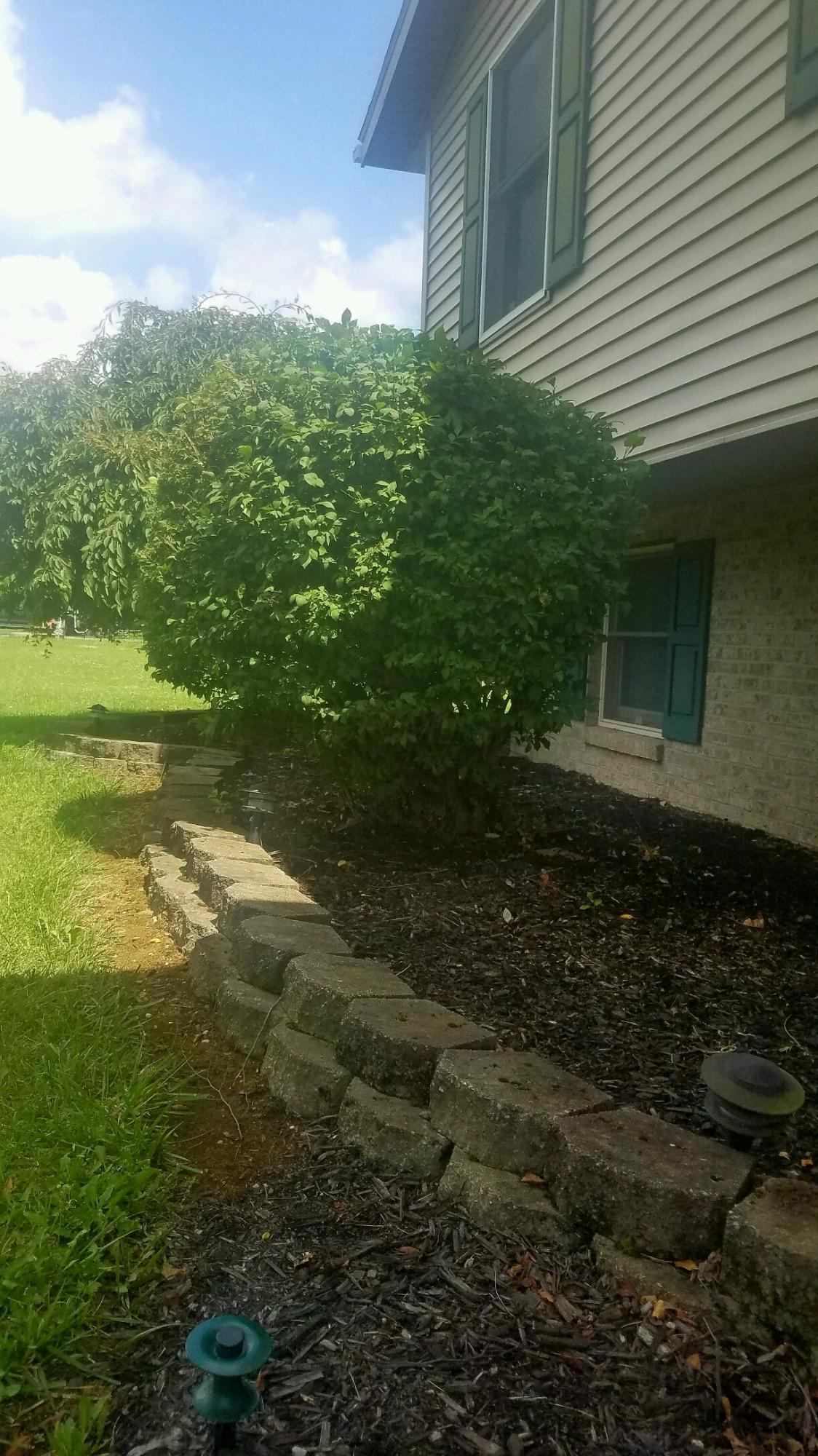 734 Ghormley Road Washington Court House, OH 43160 - Photo 7 of 39 734 ghorm landscape 1